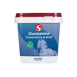 Equivital Glucosamine, Chondroïtine & MSM 1 kg