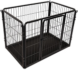 Flamingo kennel Kazan black