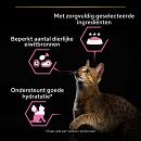 Pro Plan kattenvoer Delicate Nutrisavour Vis 10 x 85 gr