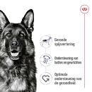 Royal Canin Hondenvoer Maxi Adult 10 x 140 gr