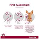 Advantix 100 4 pipetten