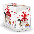 Royal Canin kattenvoer Instinctive in Jelly <br>12 x 85 gr