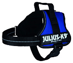 Julius K9 Powerharness blue