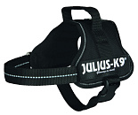 Julius K9 Powerharness black