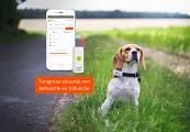 Weenect Dogs 2 GPS Tracker