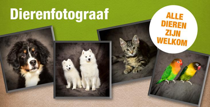 23 november: Dierenfotograaf