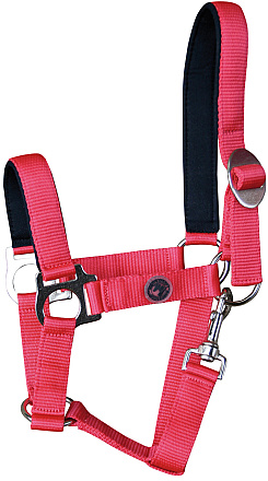 Harry's Horse halster padded 