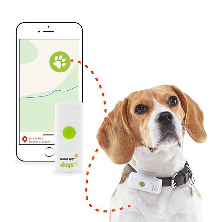 Weenect Dogs 2 GPS Tracker