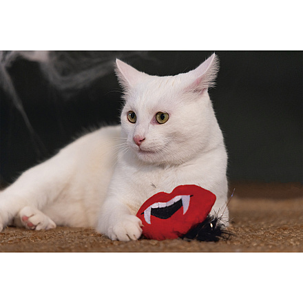 Beeztees Kattenspeelgoed Halloween Dracula