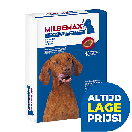 Milbemax kauwtablet hond > 5 kg 4 st