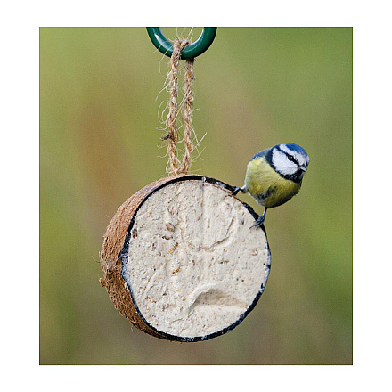 Vogelbescherming Nederland gevulde halve kokosnoot 265 gr