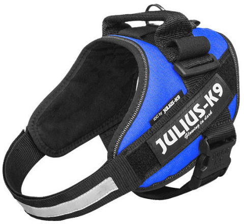 Julius K9 IDC Powerharness blue