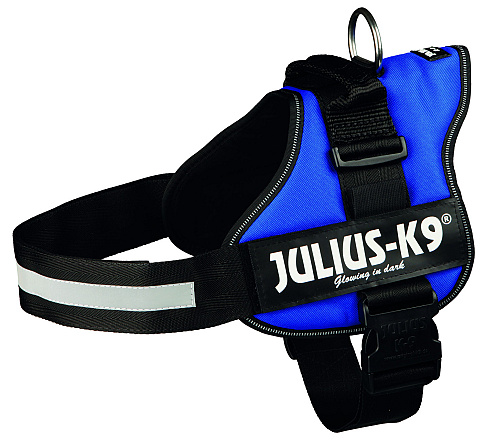 Julius K9 Powerharness blue