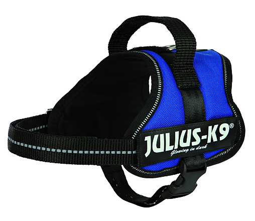 Julius K9 Powerharness blue