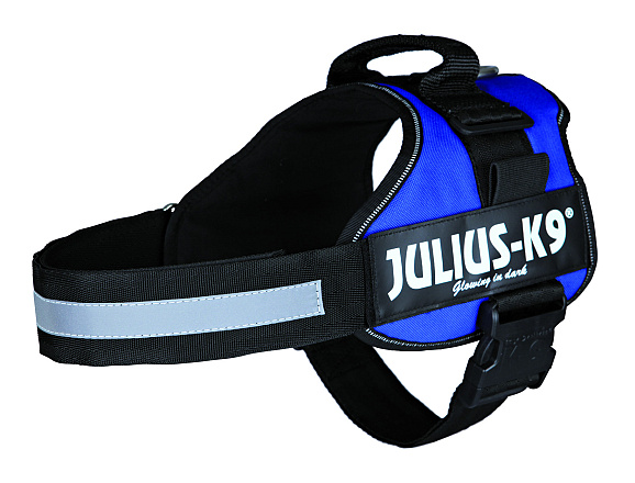 Julius K9 Powerharness blue