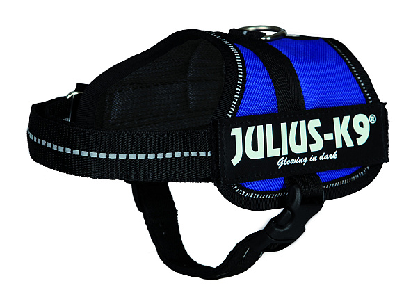 Julius K9 Powerharness blue