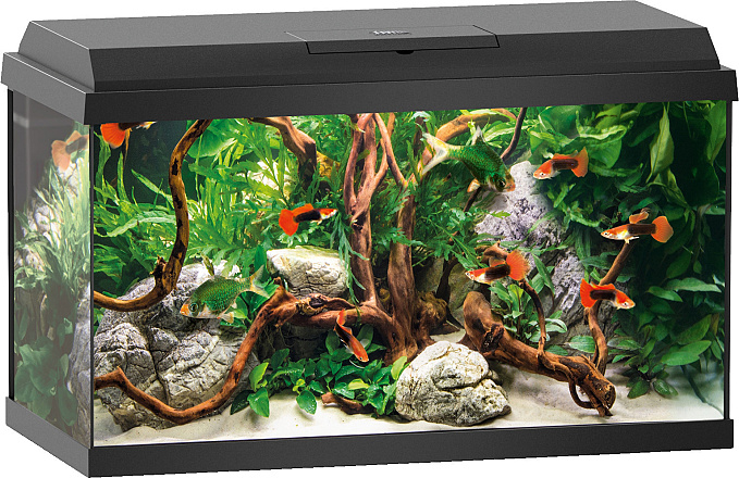 Juwel aquarium Primo 60 zwart