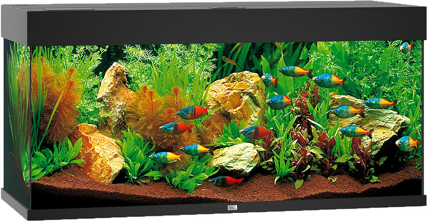 Juwel aquarium Rio 180 LED zwart