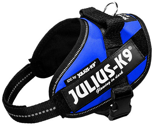 Julius K9 IDC Powerharness blue